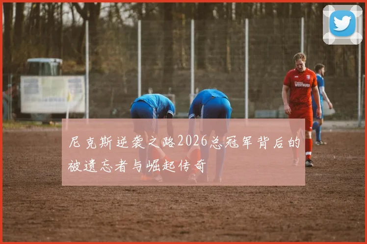 尼克斯逆袭之路2026总冠军背后的被遗忘者与崛起传奇